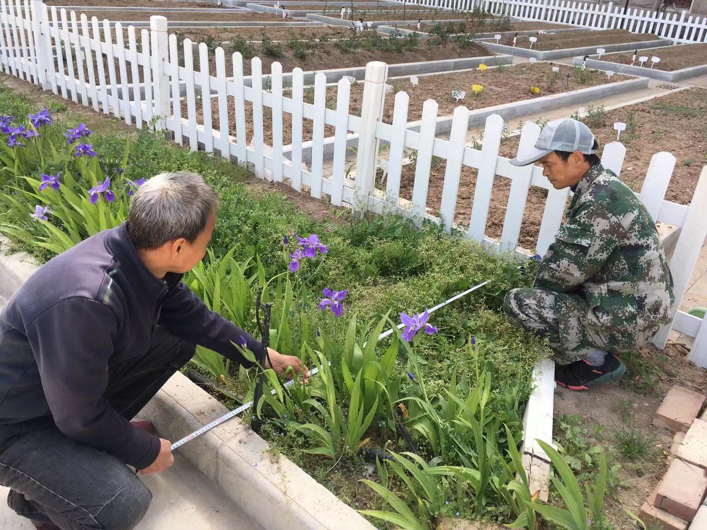 原来名称也丢了