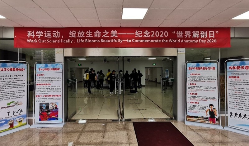 原来名称也丢了